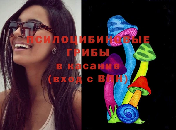 Альфа ПВП Богородск
