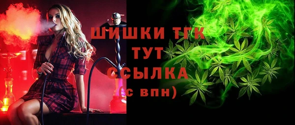 Альфа ПВП Богородск